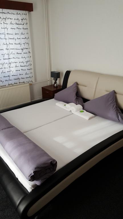 Hotel Excelent Rýmařov Bagian luar foto